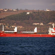 Slovenian Ship Stranded in Algeria